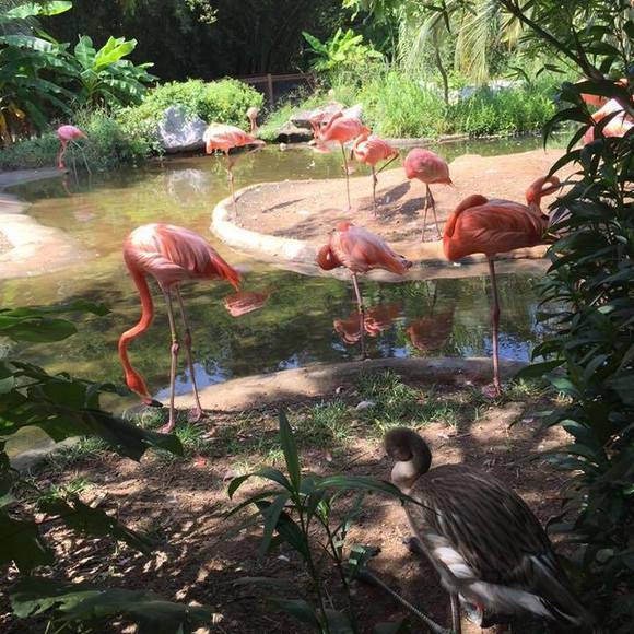 Meet your Posher, Rc - Picture 1 of 1